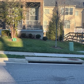 Leaf Removal by D.P.S (Dave Property Services) reviewed on December 14, 2024
