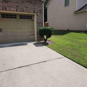 Bush Trimming by T&L Landscaping reviewed on August 2, 2024