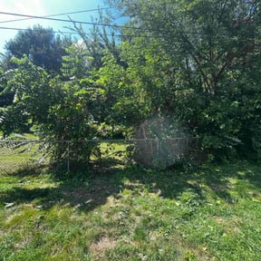 Bush Trimming by Dump N' Dash Dumpsters LLC reviewed on July 5, 2025