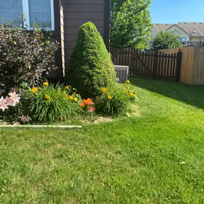 Bush Trimming by YardGoat Mowing reviewed on May 28, 2022