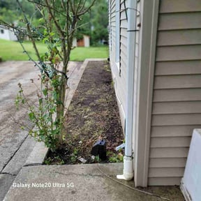 Flower Bed Weeding by CKA Smith Group, LLC reviewed on May 26, 2025