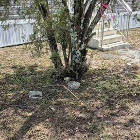 Weeding by County Line Services reviewed on November 17, 2022