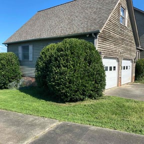 Bush Trimming by Delgado landscaping reviewed on May 3, 2025