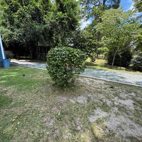 Bush Trimming by YardPro reviewed on July 15, 2022
