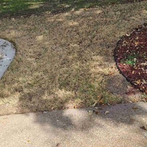 Leaf Removal by Landon reviewed on June 19, 2022