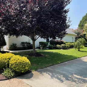Bush Trimming by Type A Lawn Guy reviewed on June 24, 2025