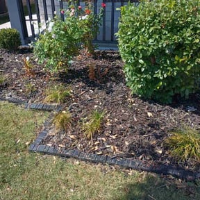 Flower Bed Weeding by Mike Mike's Mowing reviewed on June 9, 2022