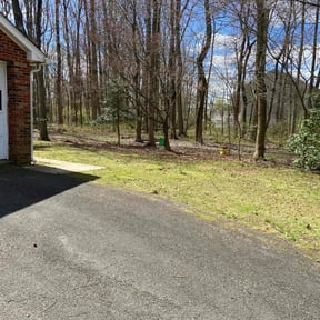 Leaf Removal by Brown's lawn Care reviewed on May 10, 2022
