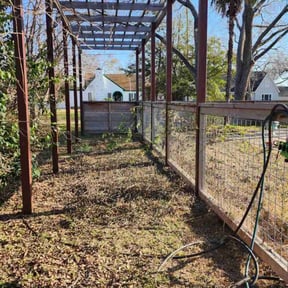 Cleanups by RGV LawnCare Services reviewed on June 21, 2024