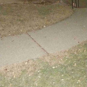 Leaf Removal by F&M LAWNCARE reviewed on June 2, 2022