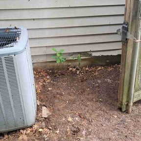 Leaf Removal by The Branch Gardens and Lawncare Co. reviewed on June 13, 2022