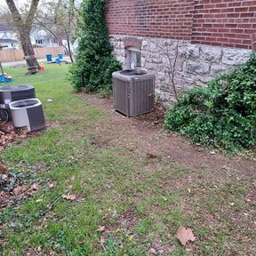 Leaf Removal by LSLTDallas/FortWorthTruGreen reviewed on April 28, 2025