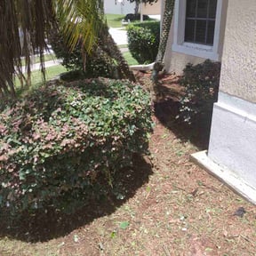 Flower Bed Weeding by Willie lawn Care and more LLC reviewed on April 2, 2025