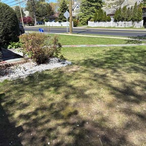 Leaf Removal by The Next Chapter reviewed on April 15, 2022