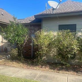 Bush Trimming by Earthmovers Landscaping reviewed on March 19, 2025