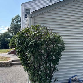 Bush Trimming by JT quality lawn reviewed on June 10, 2022