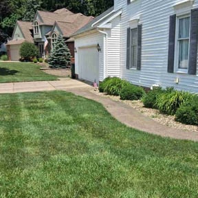 Flower Bed Weeding by Abney's lawncare reviewed on November 22, 2024