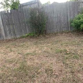 Leaf Removal by CUT Tulsa Lawn Co. reviewed on March 30, 2025