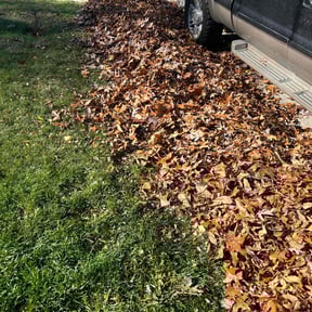 Leaf Removal by Gerald Ford reviewed on July 16, 2022