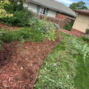 Weeding by Hernandez Family Lawn reviewed on June 13, 2025