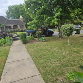 Bush Trimming by TNT landscaping & Lawncare llc reviewed on April 2, 2022