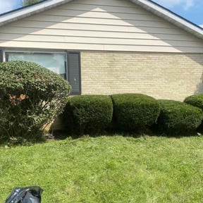 Bush Trimming by Robert'S reviewed on July 20, 2025
