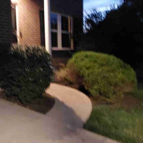 Bush Trimming by KeyBoy Entertainment reviewed on July 30, 2025