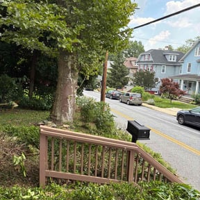 Bush Trimming by BLAST Lawn Care reviewed on May 24, 2022
