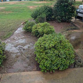 Flower Bed Weeding by W C Lawne Care reviewed on June 9, 2022