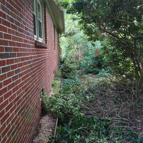 Bush Trimming by Field of Dreams Landscaping reviewed on April 5, 2025