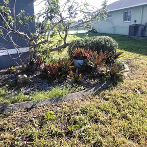 Bush Trimming by TruGreen LawnCare reviewed on July 31, 2025