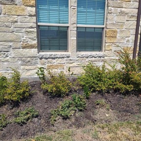 Flower Bed Weeding by Wildflower Lawn Care Company reviewed on December 21, 2024