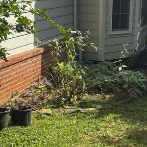 Bush Trimming by FS Lawncare reviewed on September 8, 2024