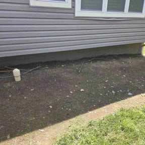 Flower Bed Weeding by LSLTDallas/FortWorthTruGreen reviewed on June 23, 2025