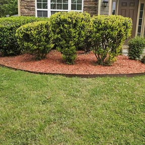 Bush Trimming by Newgrowth Lawn and Landscape Services reviewed on March 7, 2025