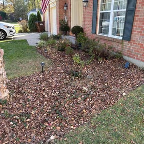 Cleanups by Ecoscape lawn maintenance inc reviewed on April 11, 2022