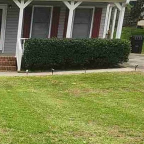 Bush Trimming by Electric Cut Lawn Care reviewed on December 23, 2024