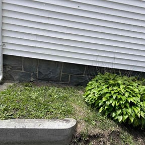 Leaf Removal by C&J Lawn Care reviewed on December 17, 2021