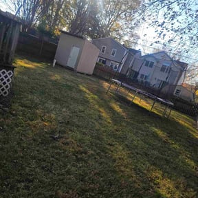Leaf Removal by Andersen landscaping & Design reviewed on July 18, 2022