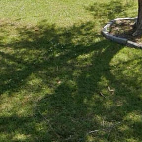Cleanups by Brooks lawn Care reviewed on May 10, 2022