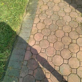 Weed Pulling by Tony's Lawn Care and Landscaping reviewed on May 3, 2022