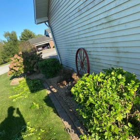Bush Trimming by Inspo Lawncare reviewed on May 27, 2022