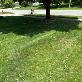 Flower Bed Weeding by Betterment Landscaping Llc reviewed on May 4, 2022