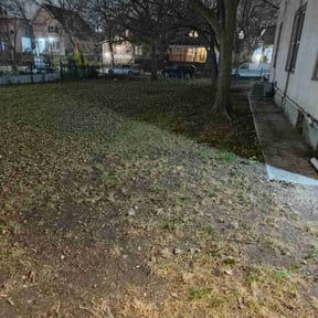 Leaf Removal by Green City Landscaping Co LLC reviewed on June 2, 2022