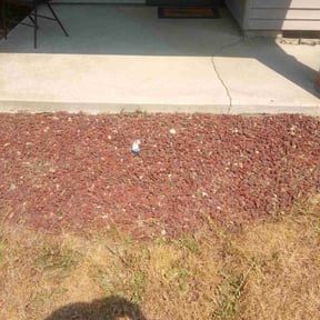 Flower Bed Weeding by CCs lawn service LLC reviewed on October 20, 2022