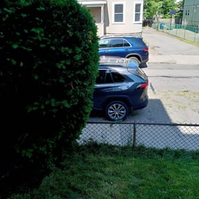 Bush Trimming by 10 yards lawnmowing reviewed on July 16, 2022