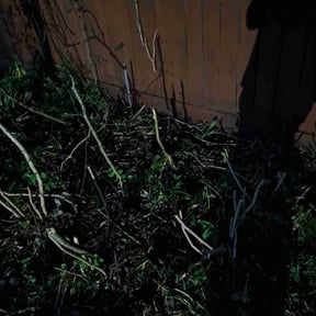 Cleanups by Winchell&#039;s maintenance reviewed on May 29, 2022