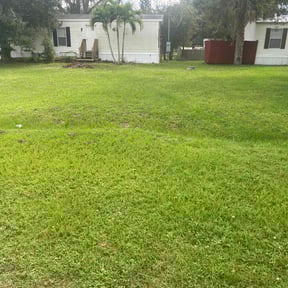 Cleanups by Seals Landscaping reviewed on July 1, 2022