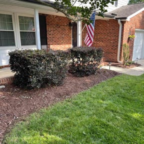Bush Trimming by Crutchfield Property Maintenance reviewed on June 14, 2022