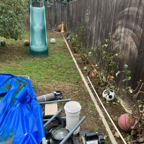 Bush Trimming by Landscaping Services reviewed on September 4, 2020